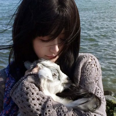 傲骨之战第六季